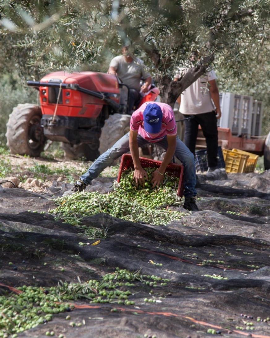 Azienda Agricola Mandranova Palma di Montechiaro Luaran gambar