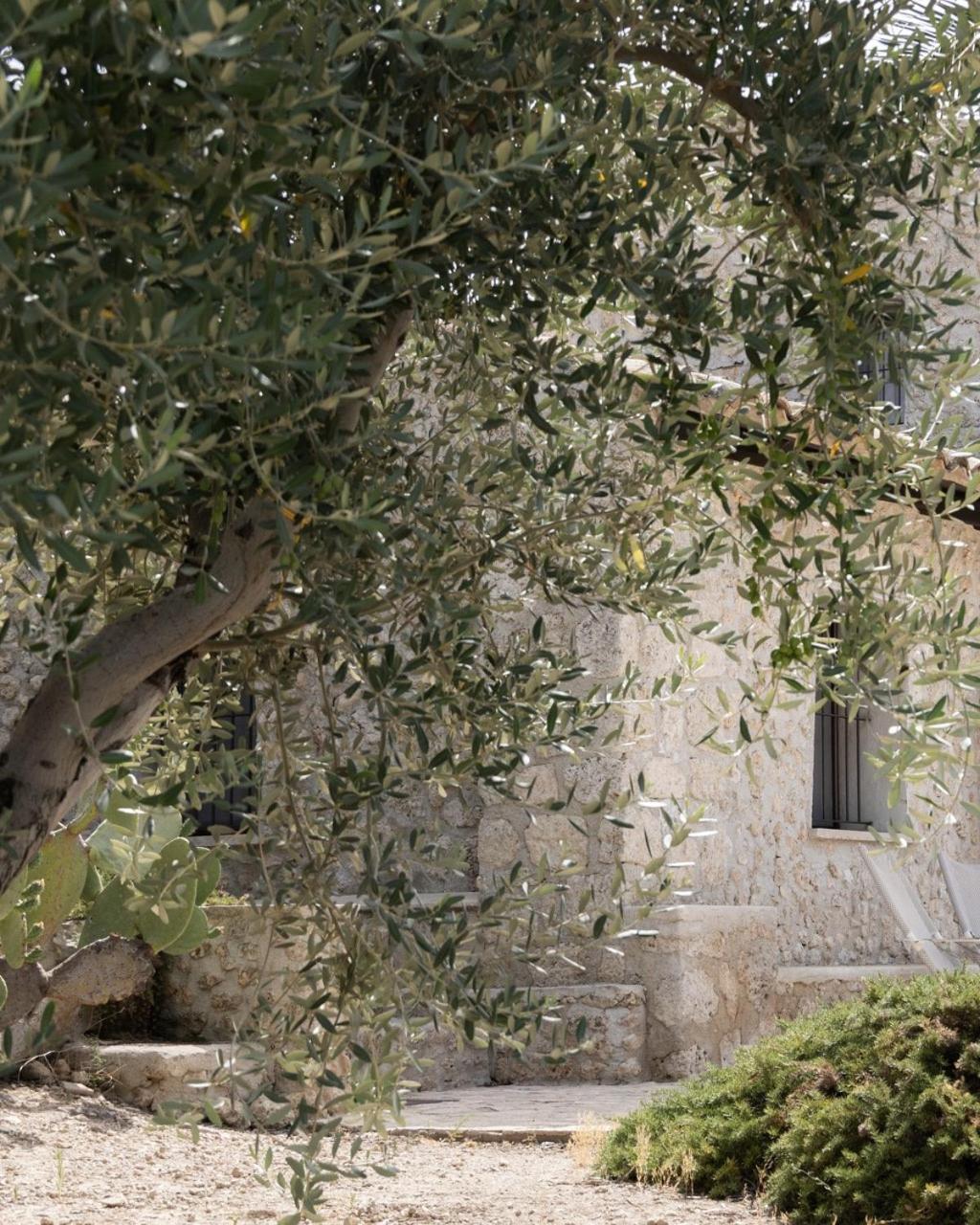 Azienda Agricola Mandranova Palma di Montechiaro Luaran gambar